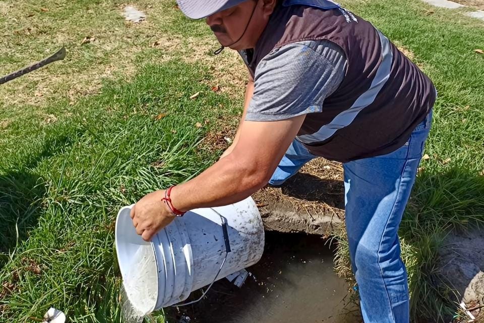 Gobierno de Alfonso Sánchez lleva brigadas de 'Más territorio y menos escritorio' a las calles y mejora la vida de la gente